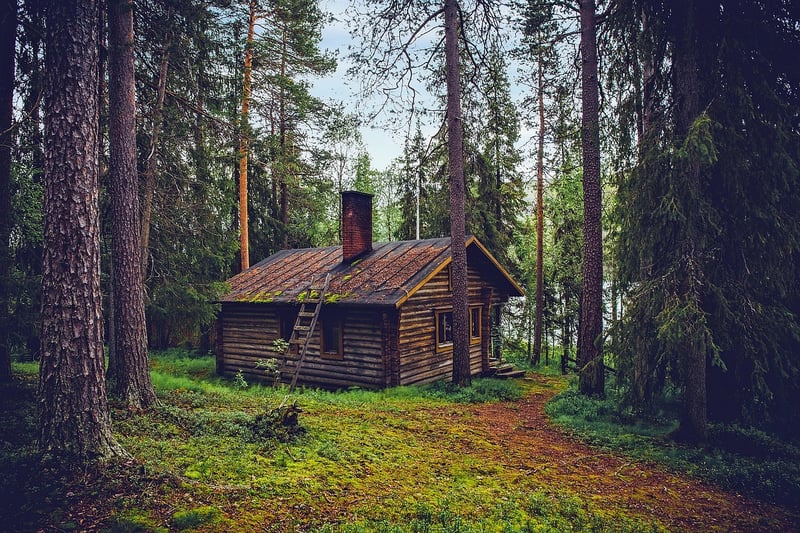 Enchanted Forest Cabin