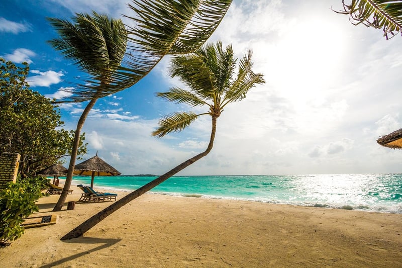 Dreamy Island